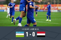 乌克兰国家队斩获欧国家杯小组赛首胜